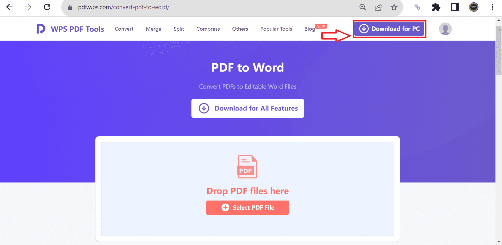 wps pdf to word converter